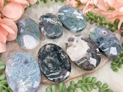 Moss Agate Palms