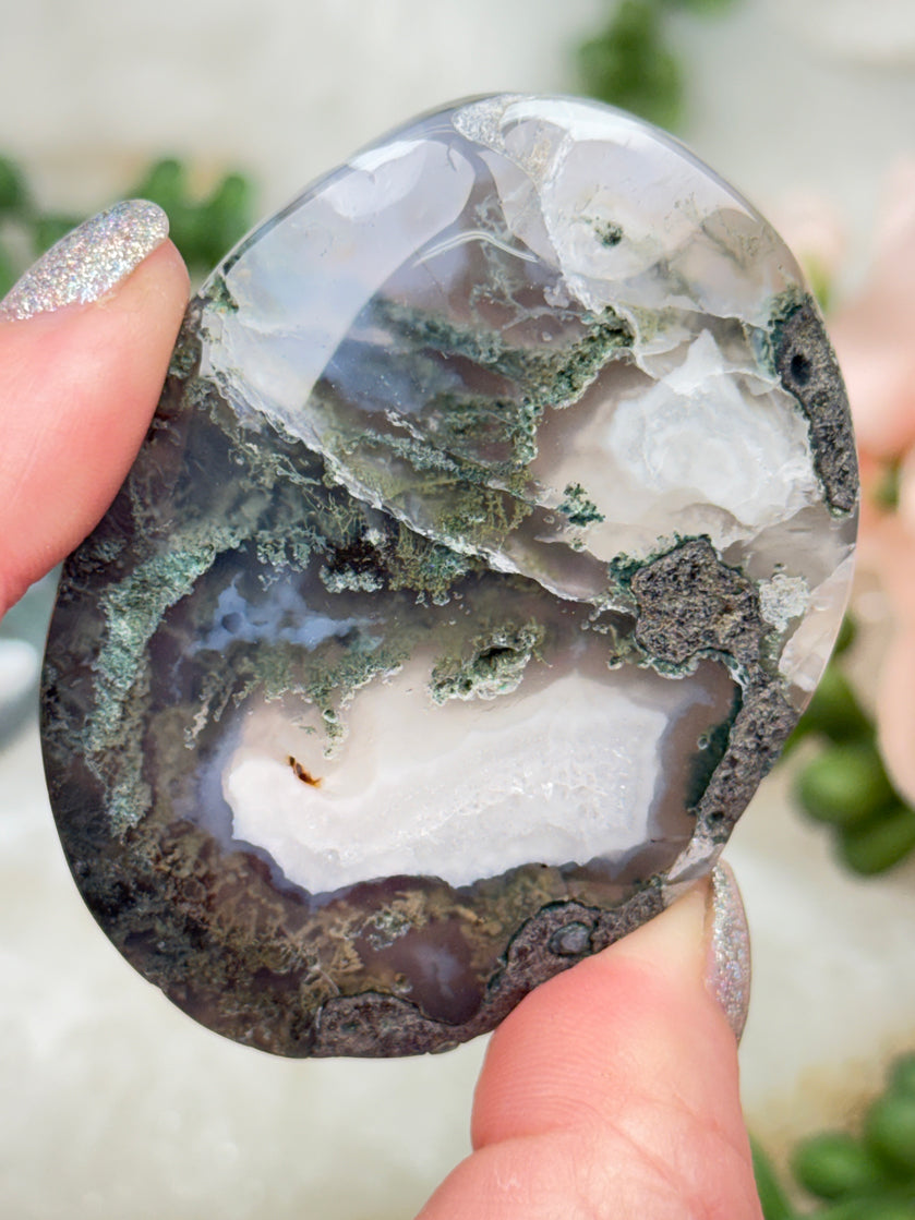 Moss Agate Palms