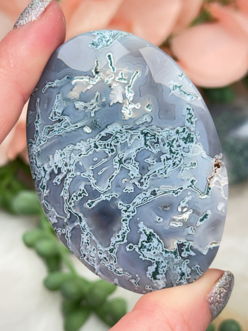 Moss Agate Palms