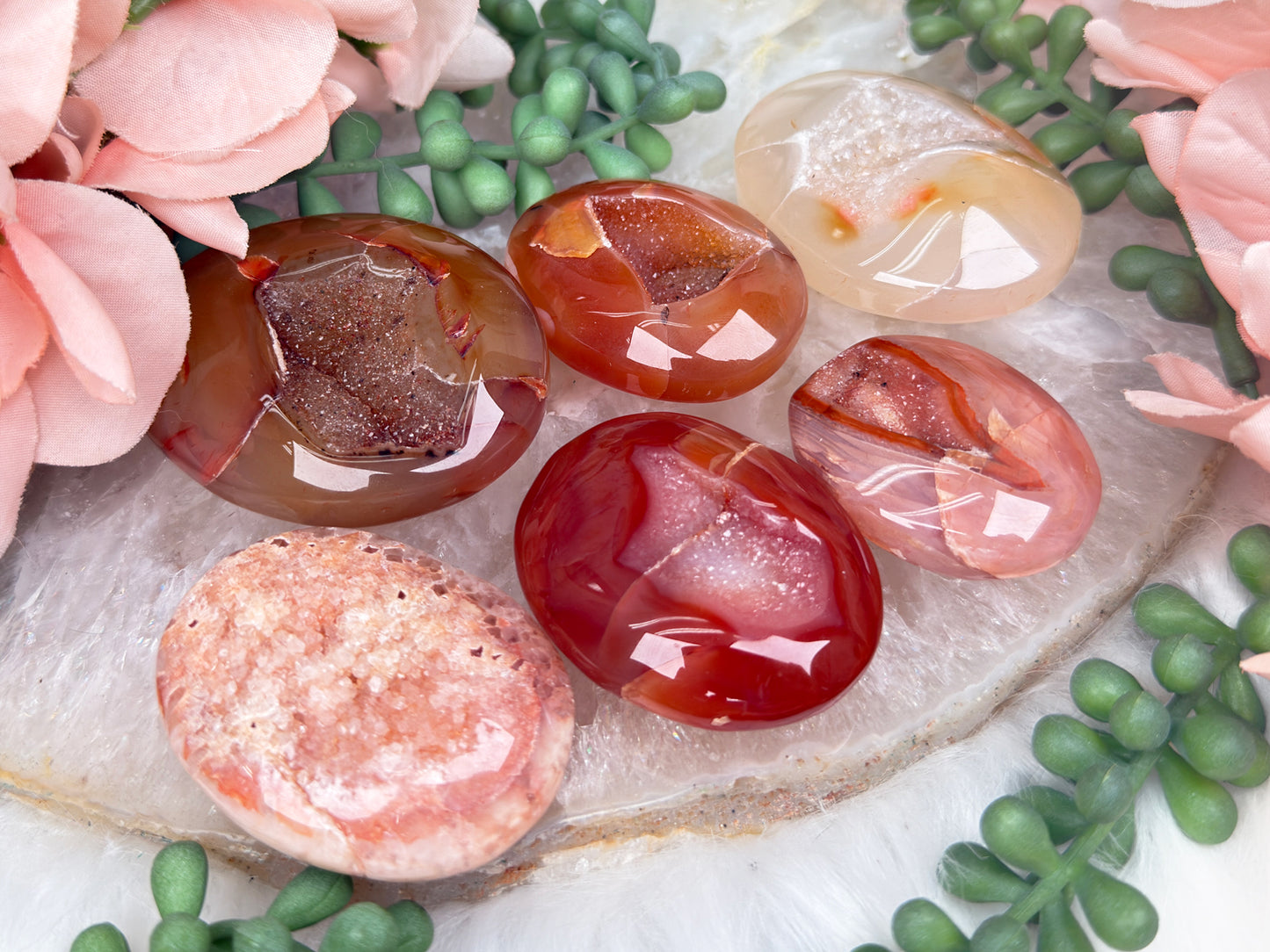 Orange Carnelian Palms