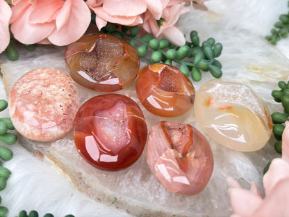 Orange Carnelian Palms