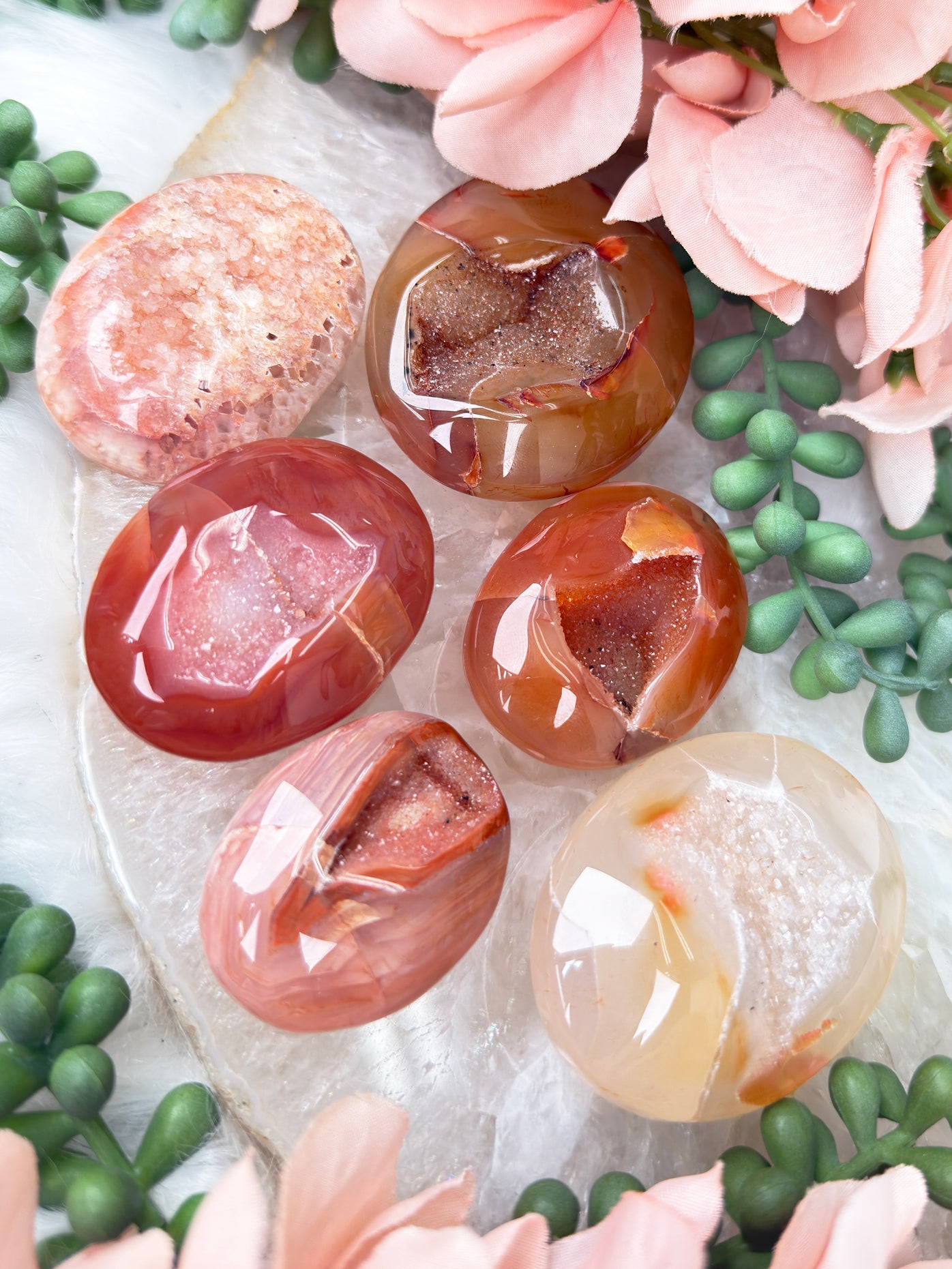 Orange Carnelian Palms