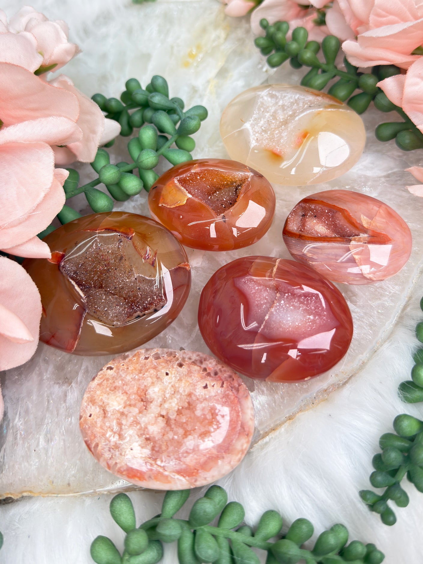 Orange Carnelian Palms
