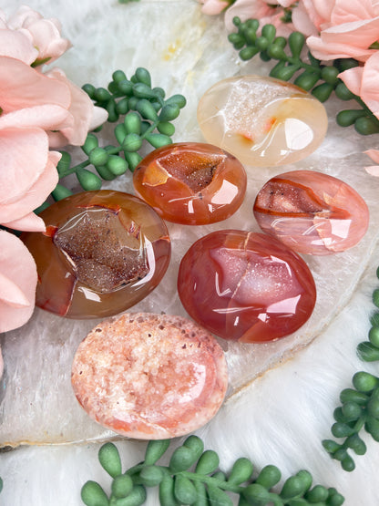 Orange Carnelian Palms