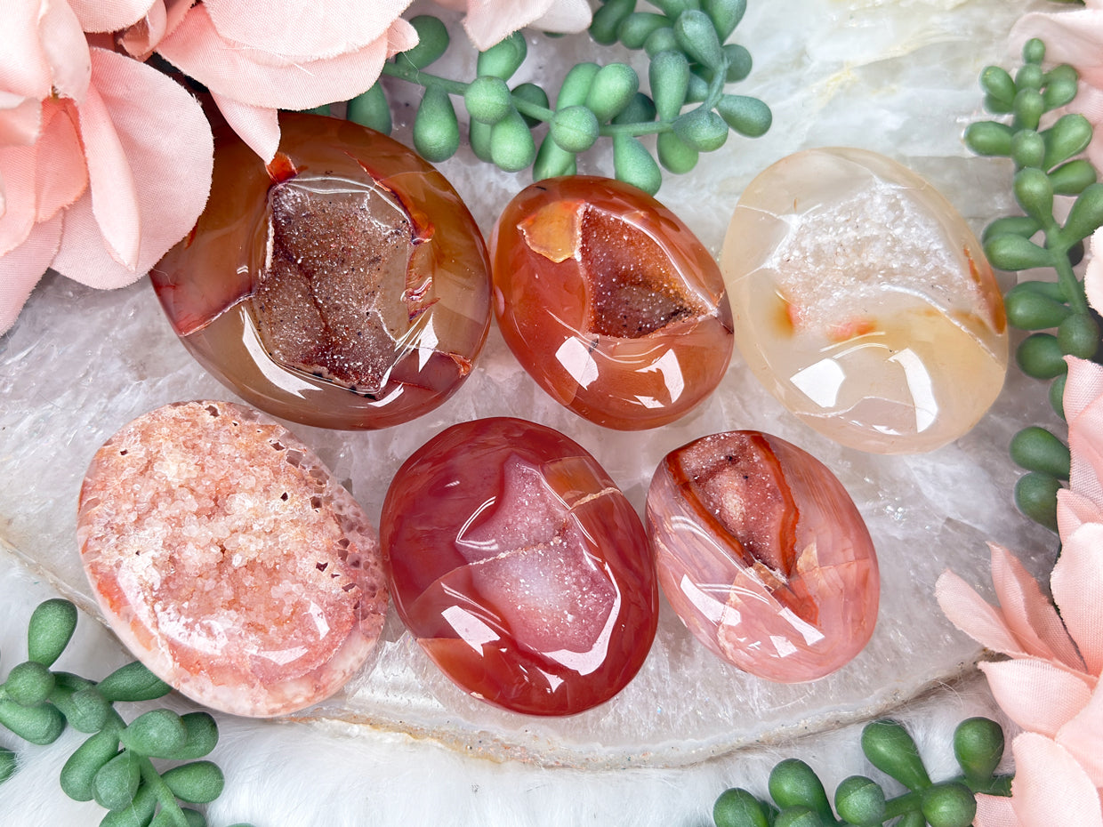 Orange Carnelian Palms
