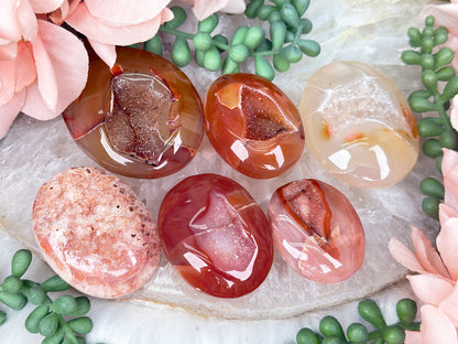 Orange Carnelian Palms