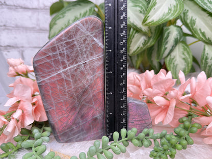 Pastel Labradorite