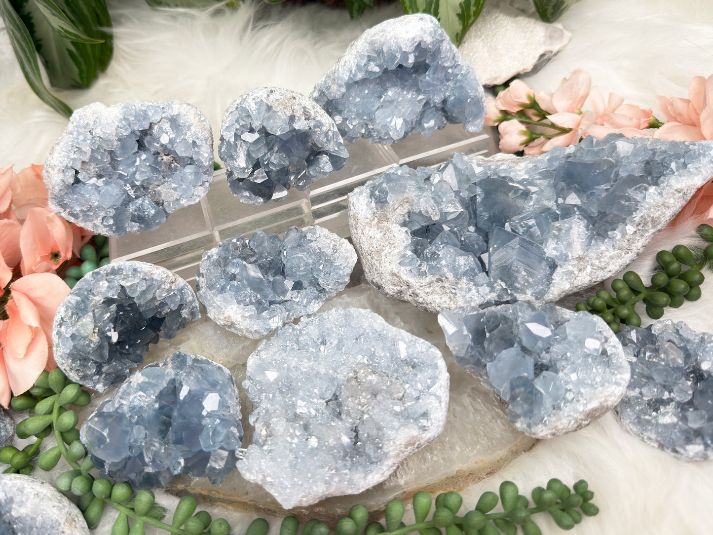 Blue Celestite Clusters