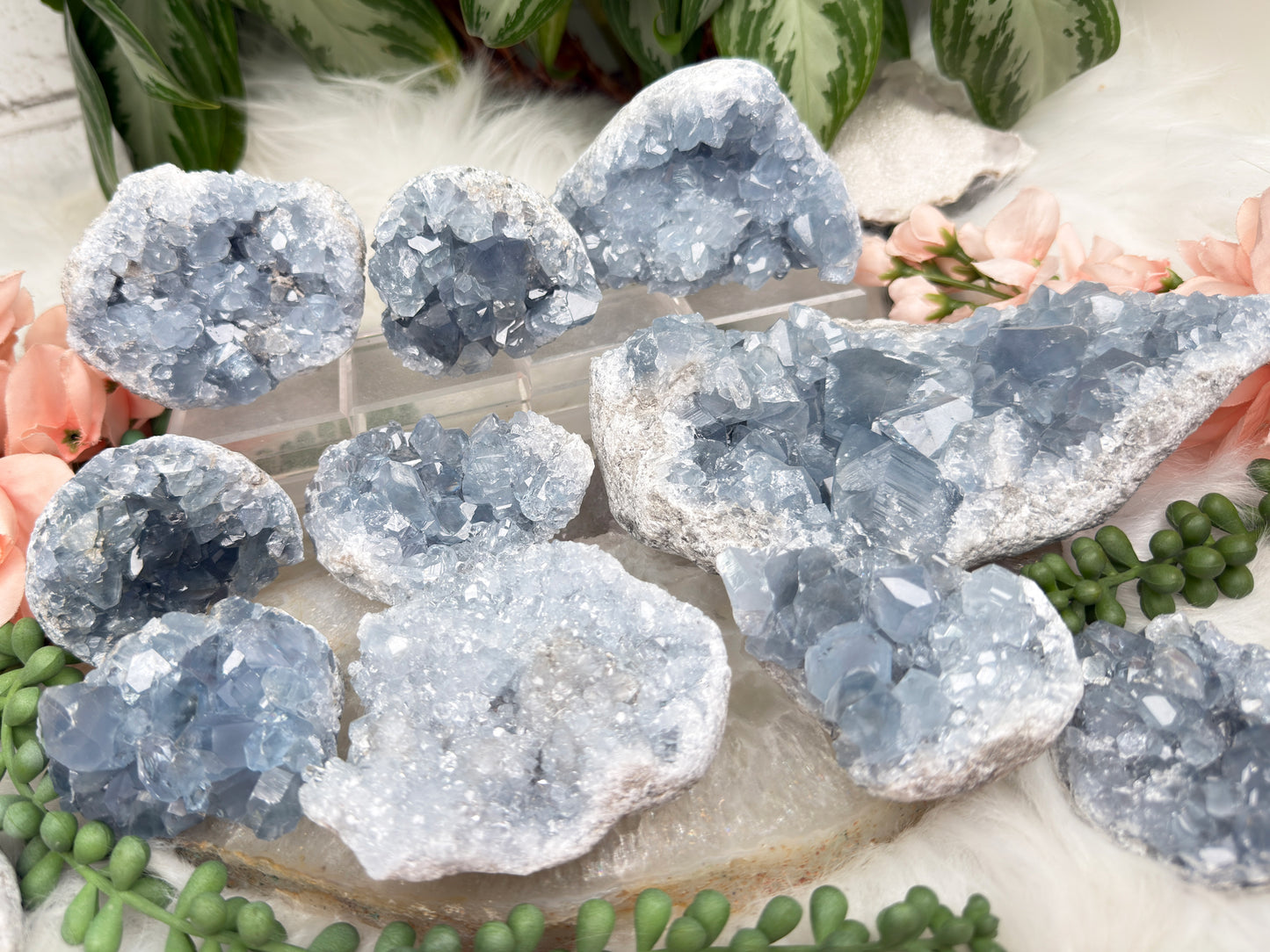 Blue Celestite Clusters