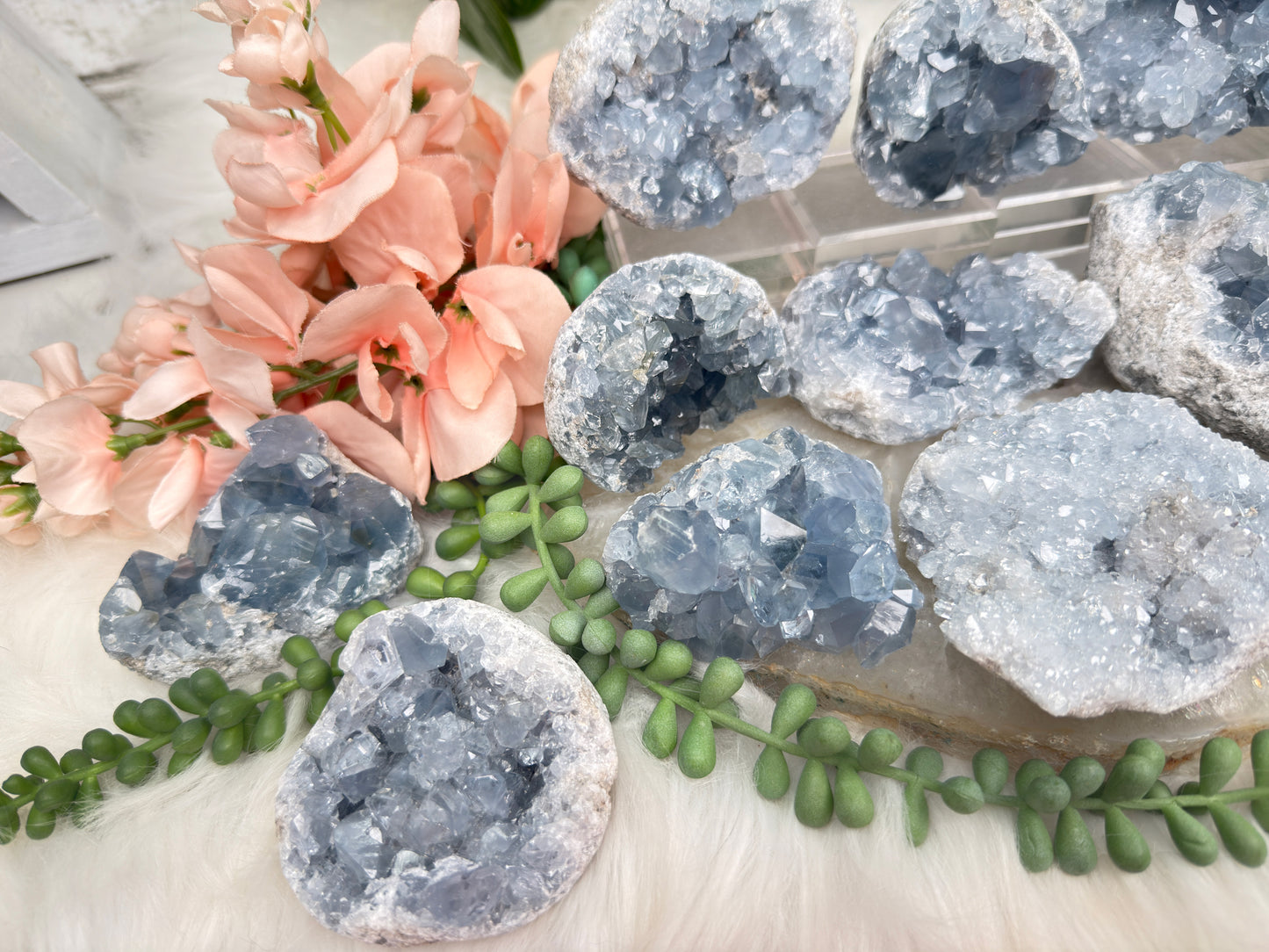 Blue Celestite Clusters