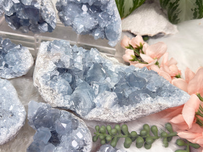 Blue Celestite Clusters
