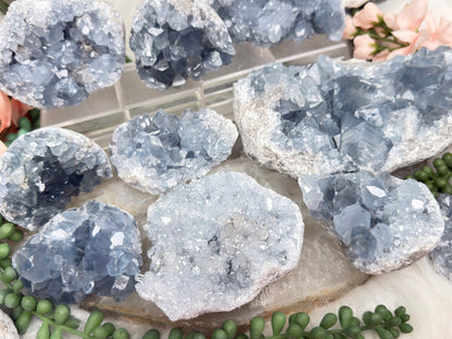 Blue Celestite Clusters