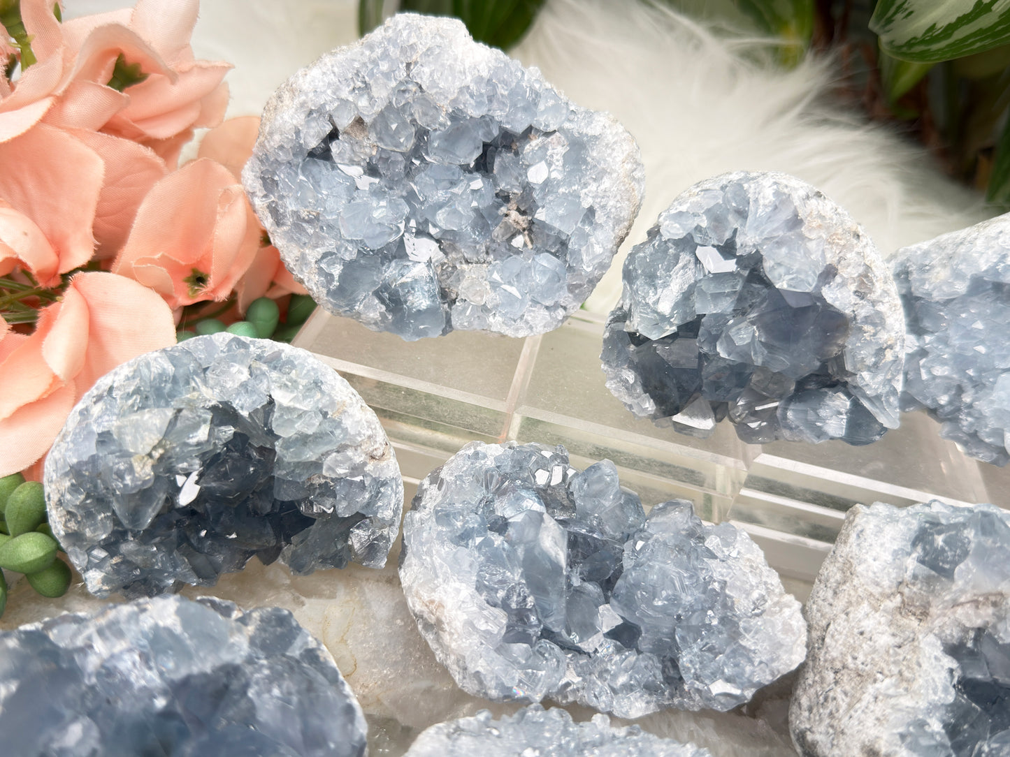 Blue Celestite Clusters