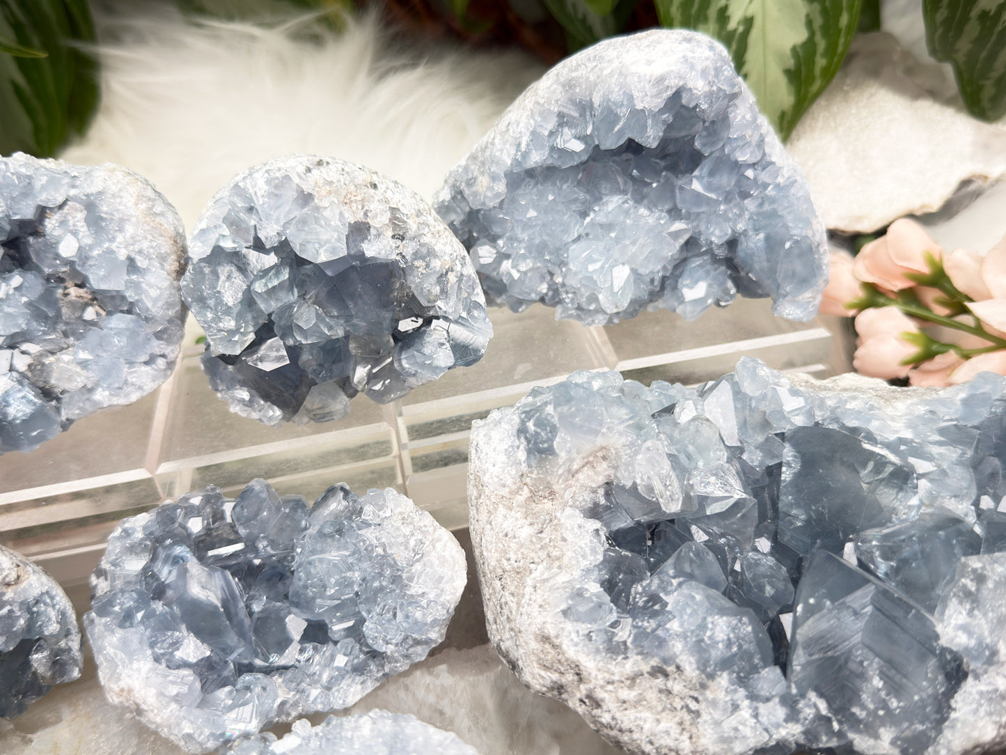 Blue Celestite Clusters