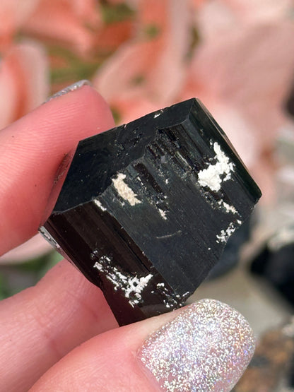 Namibia Black Tourmaline Points