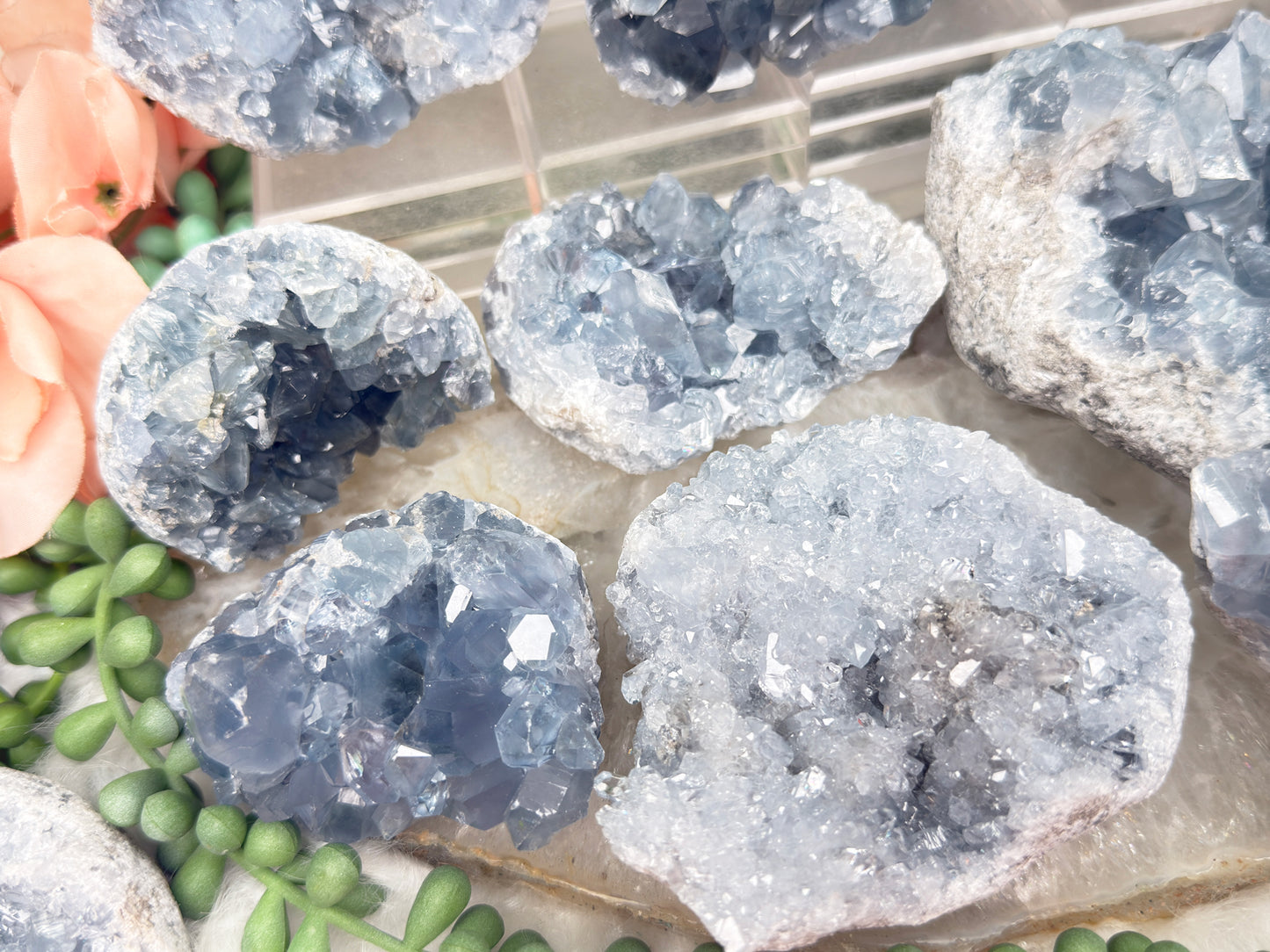 Blue Celestite Clusters
