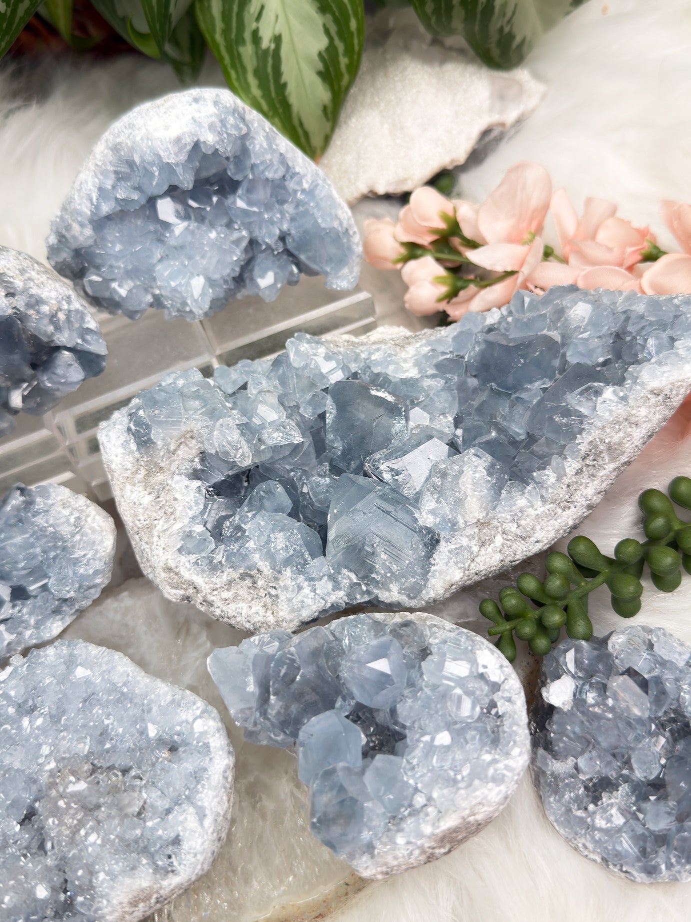 Blue Celestite Clusters