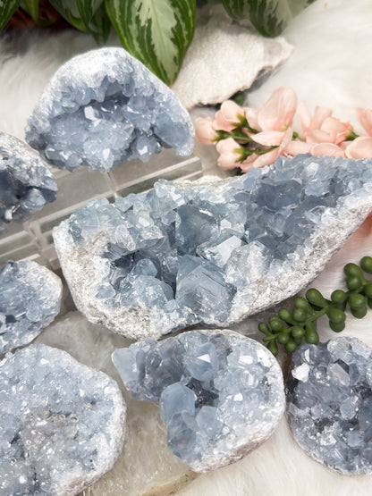 Blue Celestite Clusters