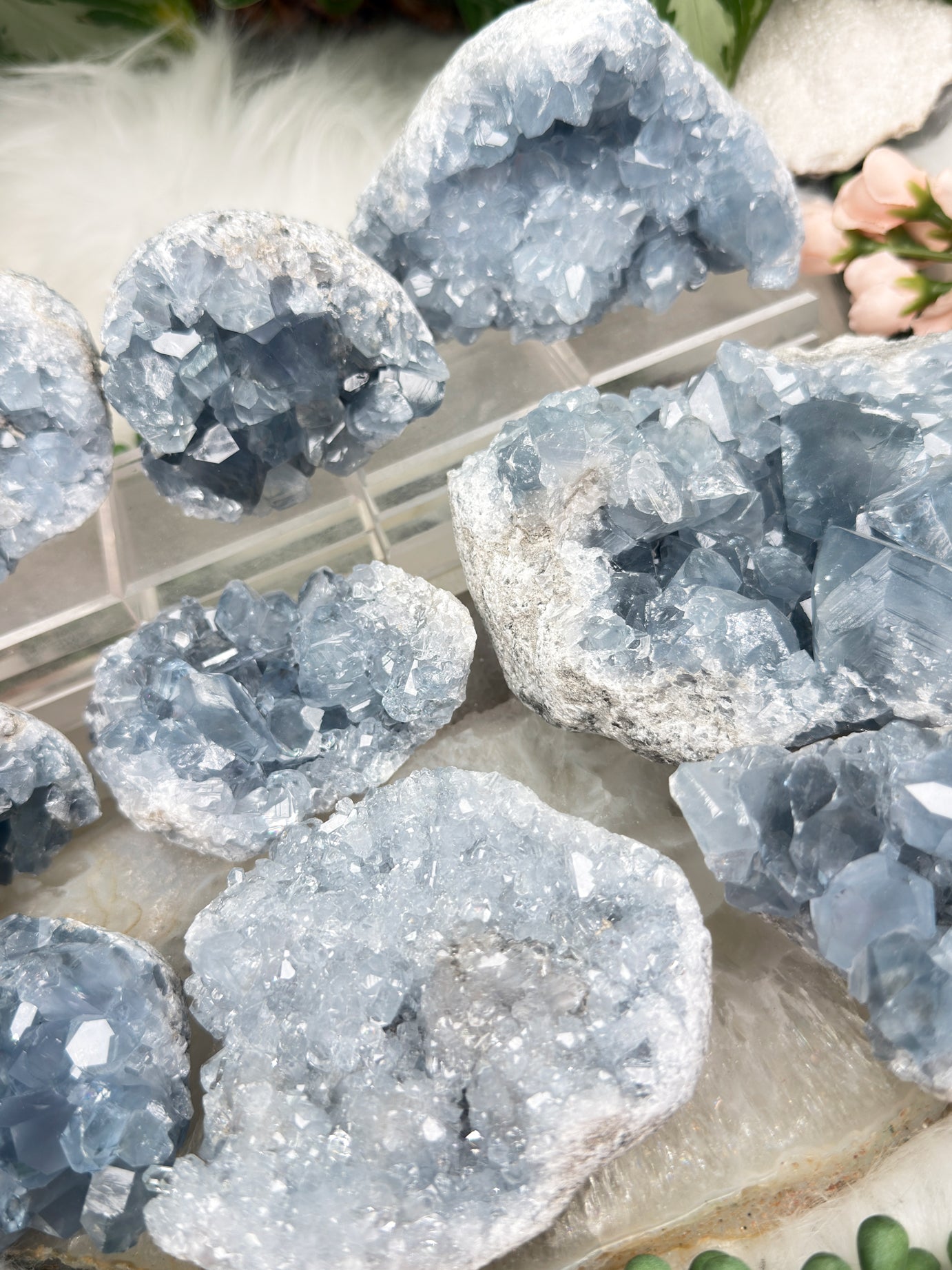 Blue Celestite Clusters