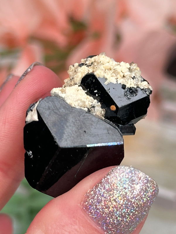 Namibia Black Tourmaline Points