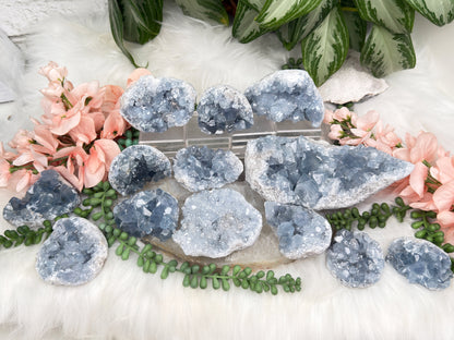 Blue Celestite Clusters