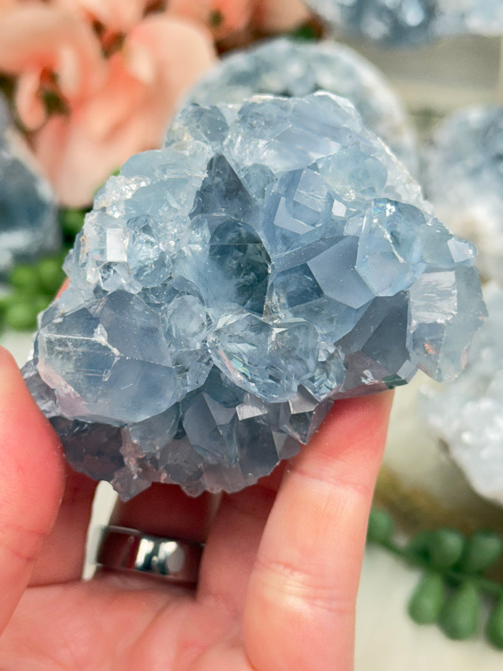 Blue Celestite Clusters