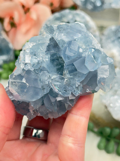 Blue Celestite Clusters