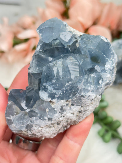 Blue Celestite Clusters