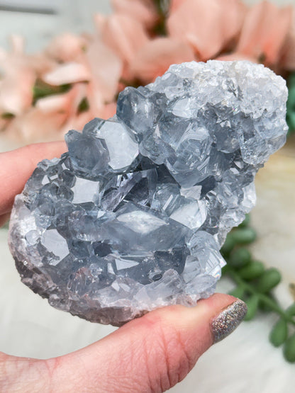 Blue Celestite Clusters