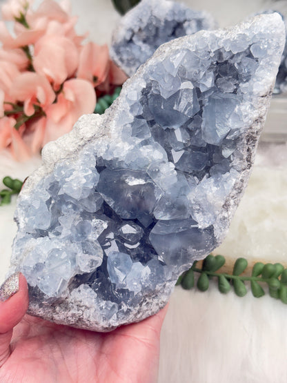 Blue Celestite Clusters