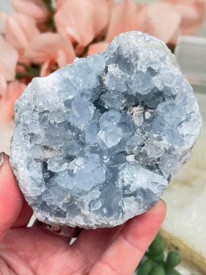 Blue Celestite Clusters