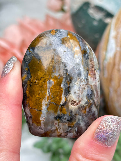 Colorful Ocean Jasper Freeforms