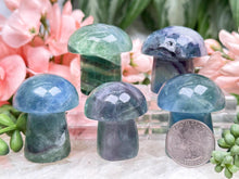Load image into Gallery: Contempo Crystals - blue-green-fluorite-mushroom - Image 14