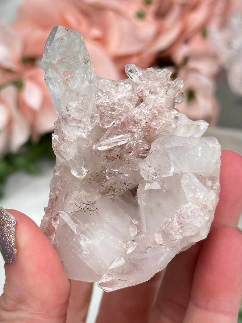 Colombian Pink Quartz Clusters