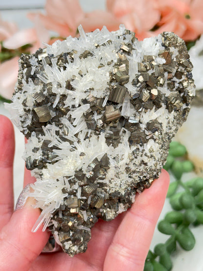 Peru Pyrite & Quartz Clusters