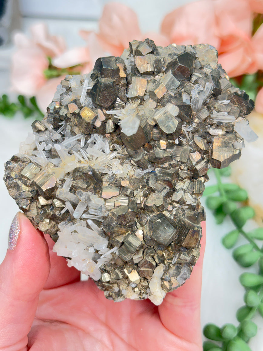 Peru Pyrite & Quartz Clusters