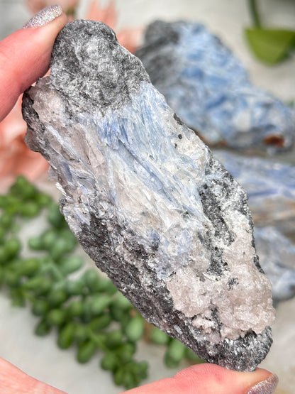 Raw Black & Blue Kyanite