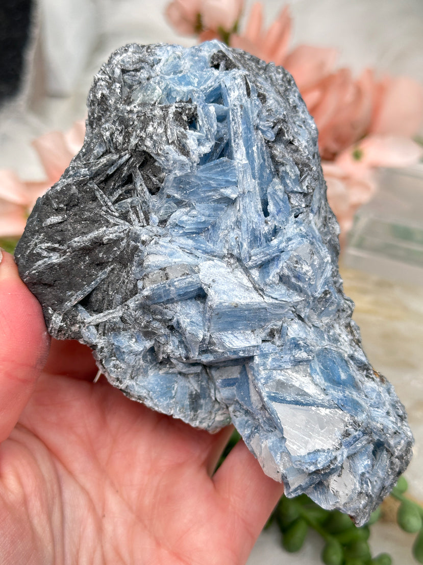 Raw Black & Blue Kyanite