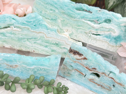 Blue Aragonite Slices