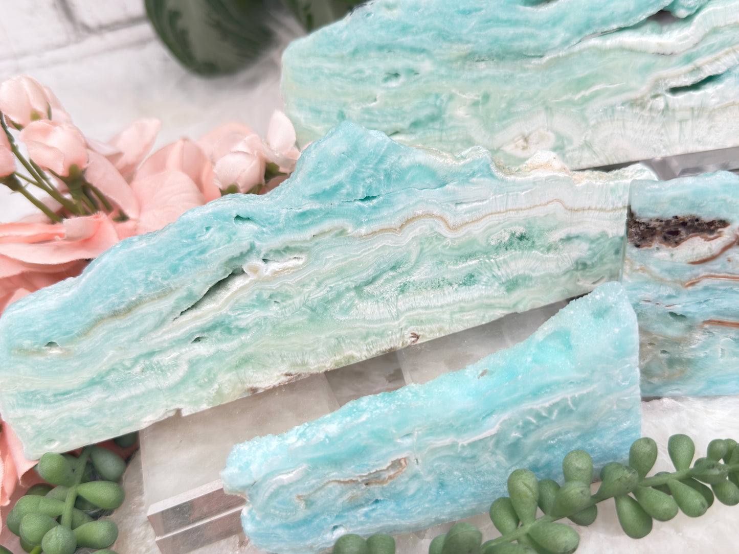 Blue Aragonite Slices