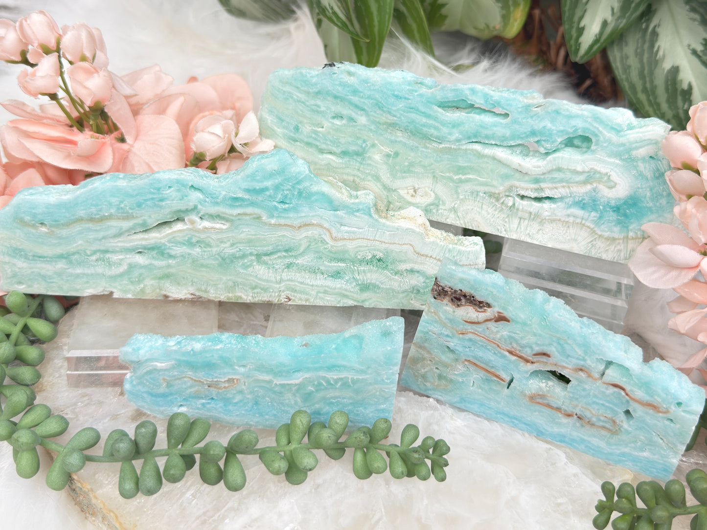Blue Aragonite Slices