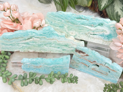 Blue Aragonite Slices