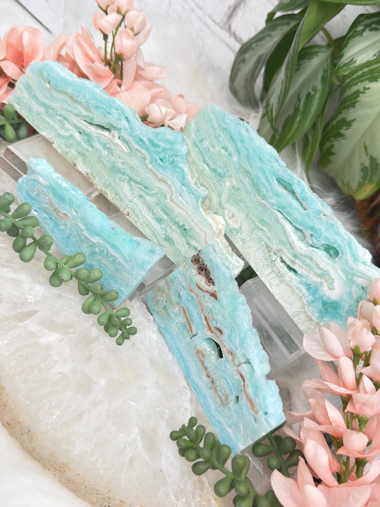 Blue Aragonite Slices