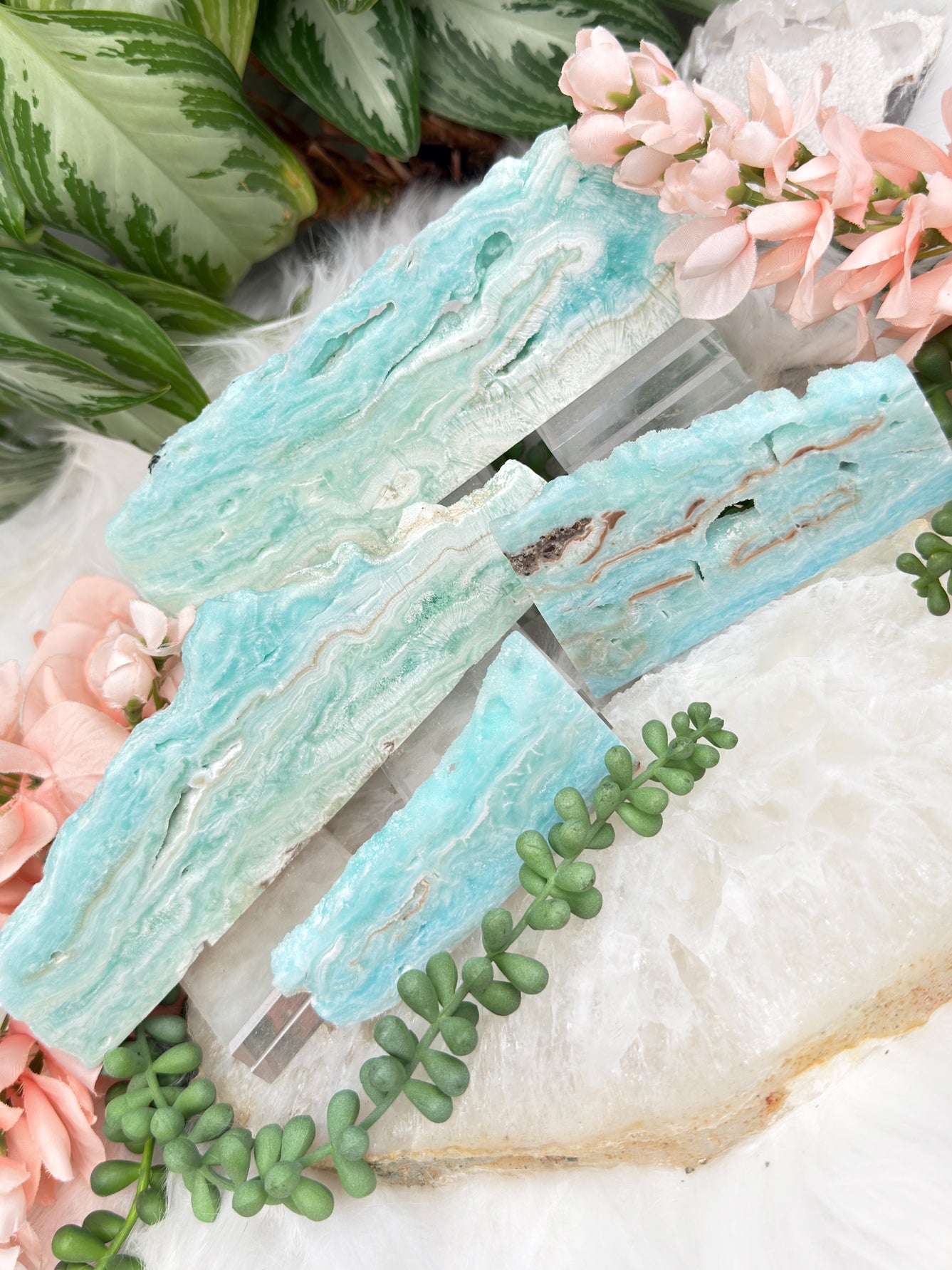 Blue Aragonite Slices