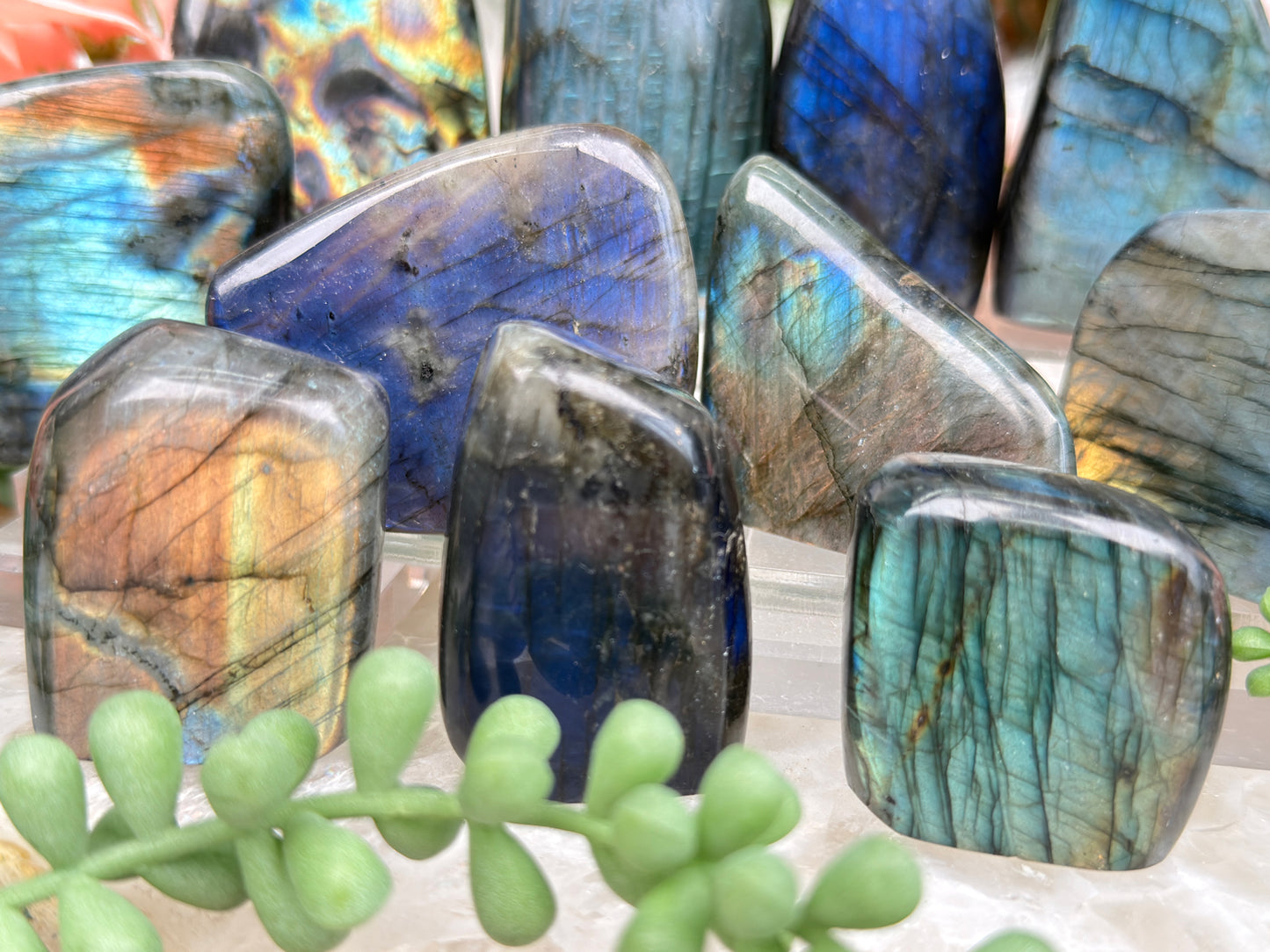 Small Colorful Labradorite