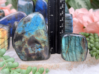 Small Colorful Labradorite