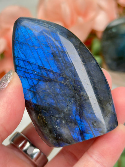 Small Colorful Labradorite