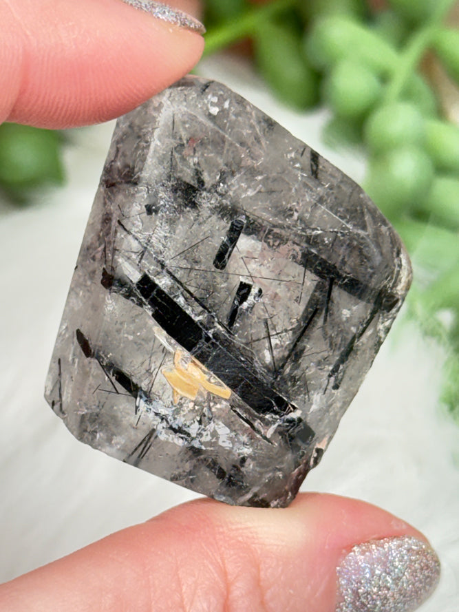 Black Tourmaline Quartz Pieces