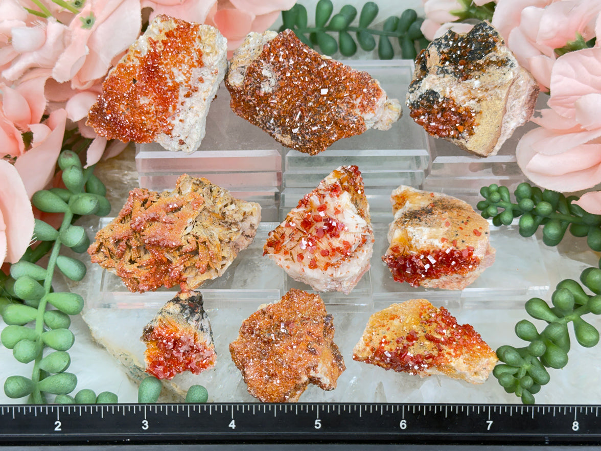 Small Vanadinite Clusters