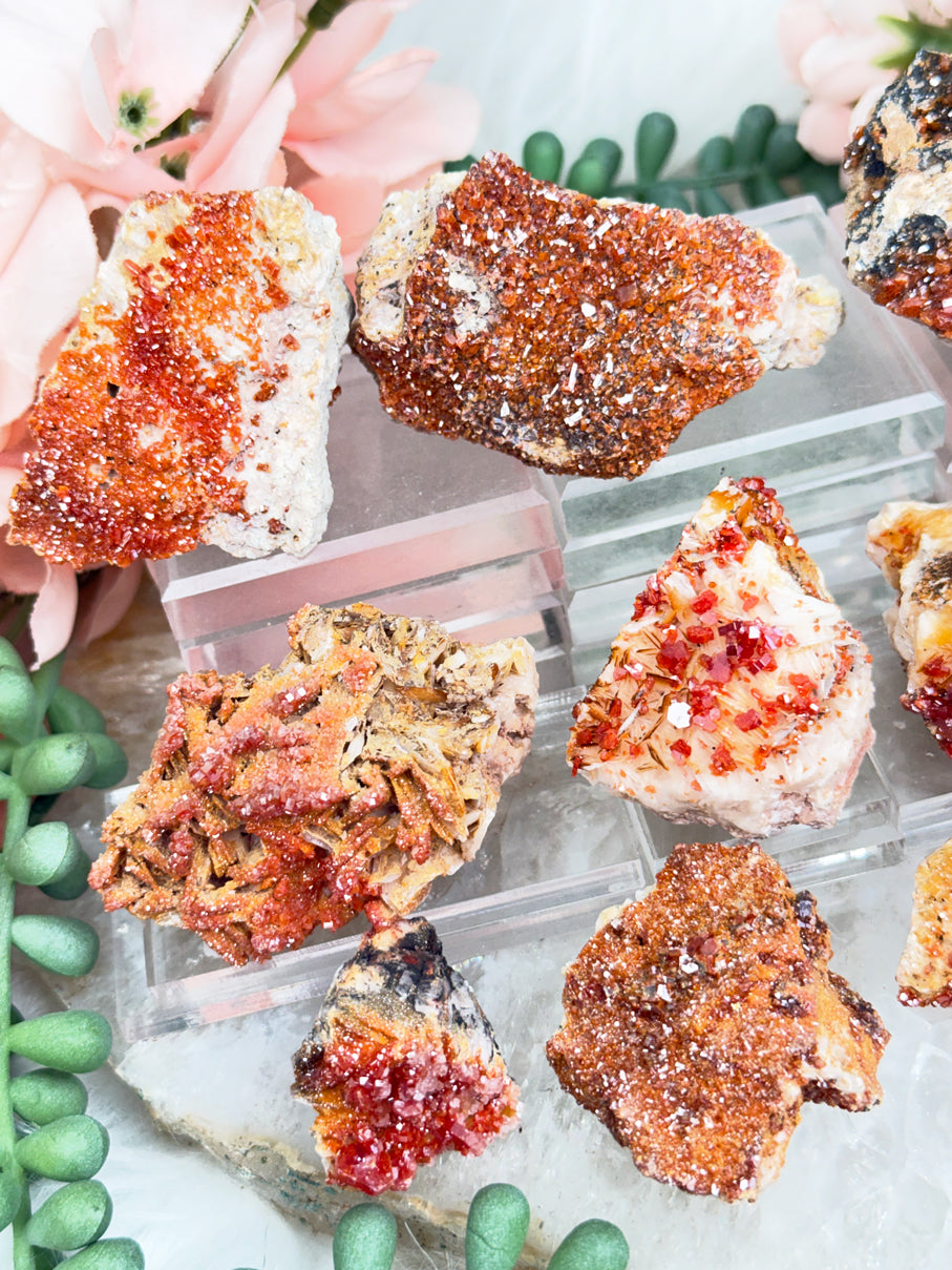 Small Vanadinite Clusters